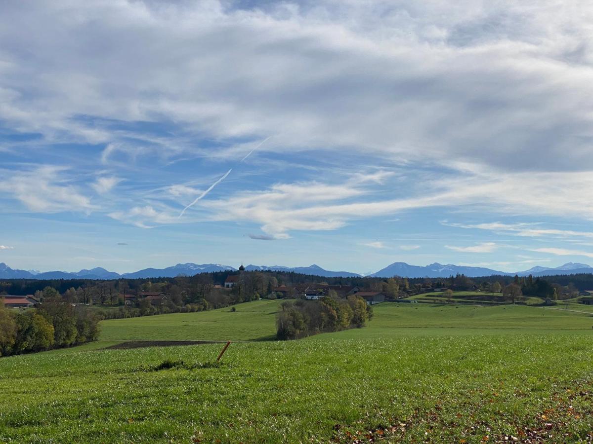 Vogelnest Linden (Miesbach)